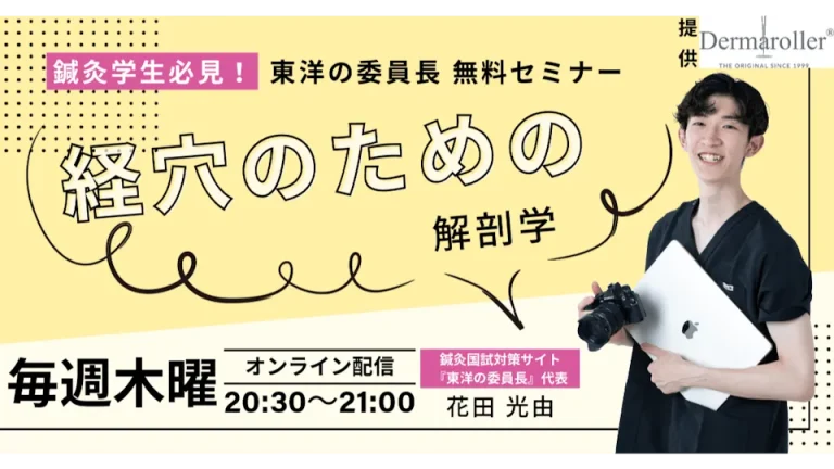 経穴のための解剖学