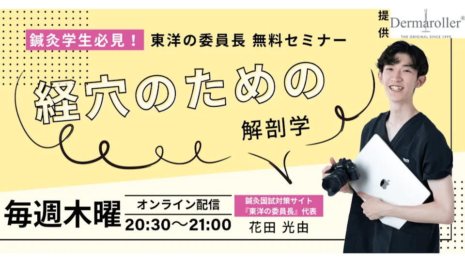 経穴のための解剖学