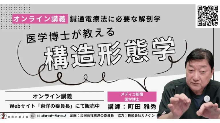 医学博士が教える構造形態学