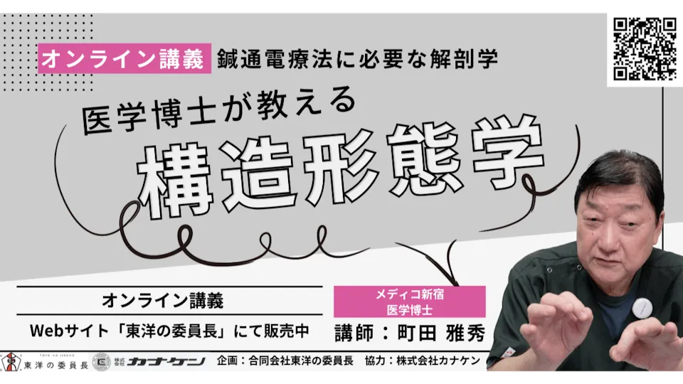 医学博士が教える構造形態学