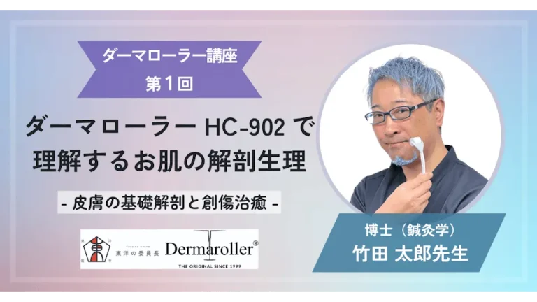 お肌の解剖生理×ダーマローラー